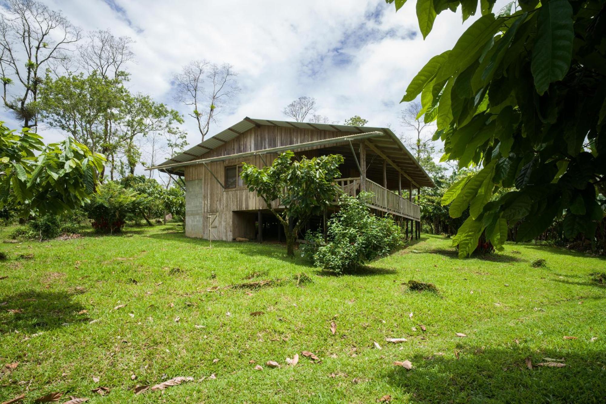 Finca Amistad Cacao Lodge Bijagua Eksteriør bilde