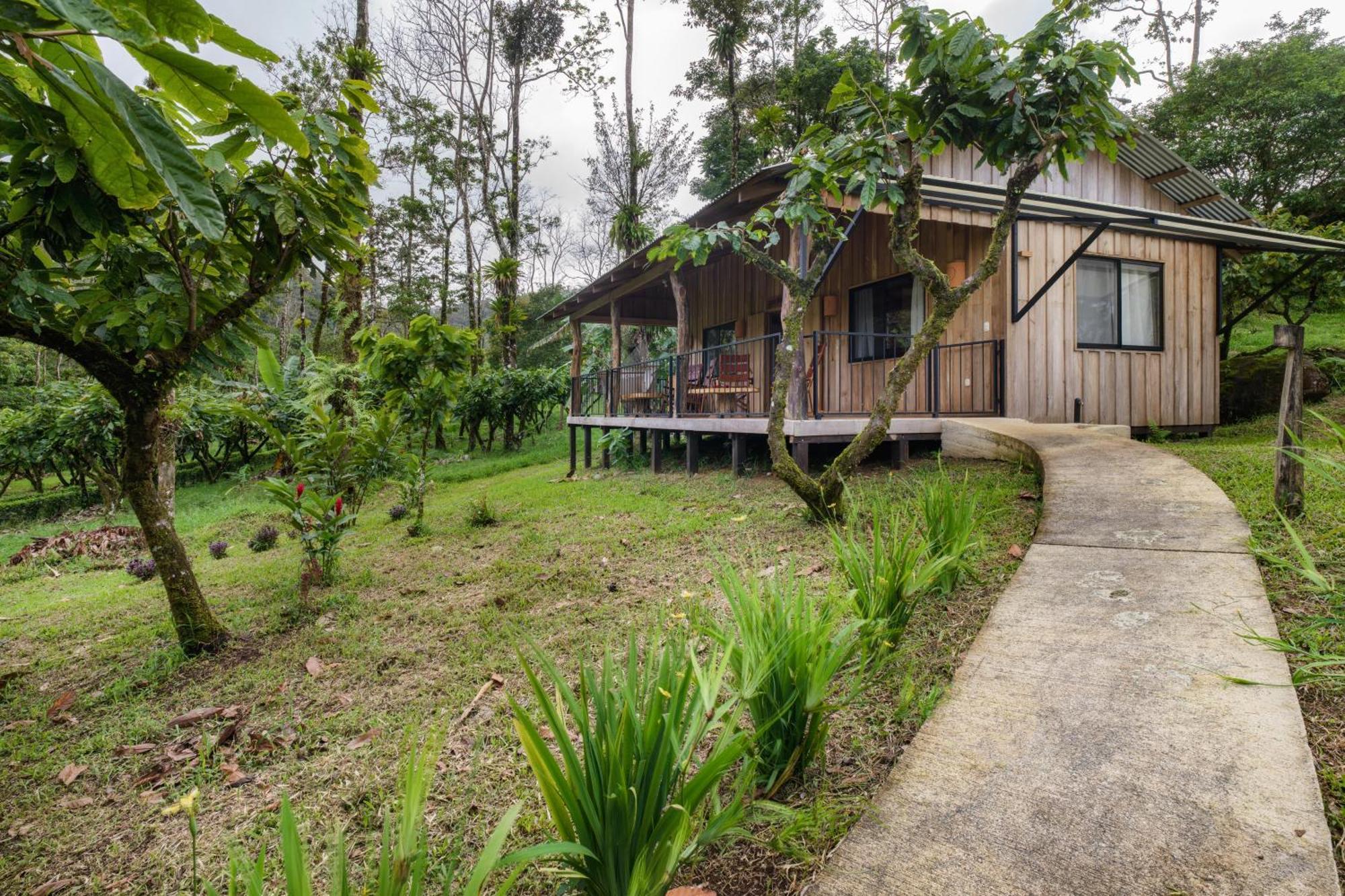 Finca Amistad Cacao Lodge Bijagua Eksteriør bilde