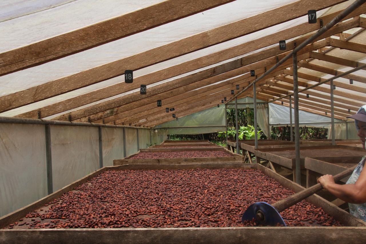 Finca Amistad Cacao Lodge Bijagua Eksteriør bilde