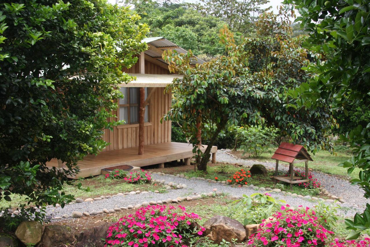 Finca Amistad Cacao Lodge Bijagua Eksteriør bilde