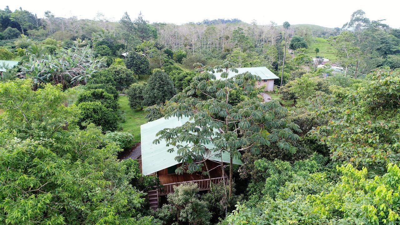 Finca Amistad Cacao Lodge Bijagua Eksteriør bilde