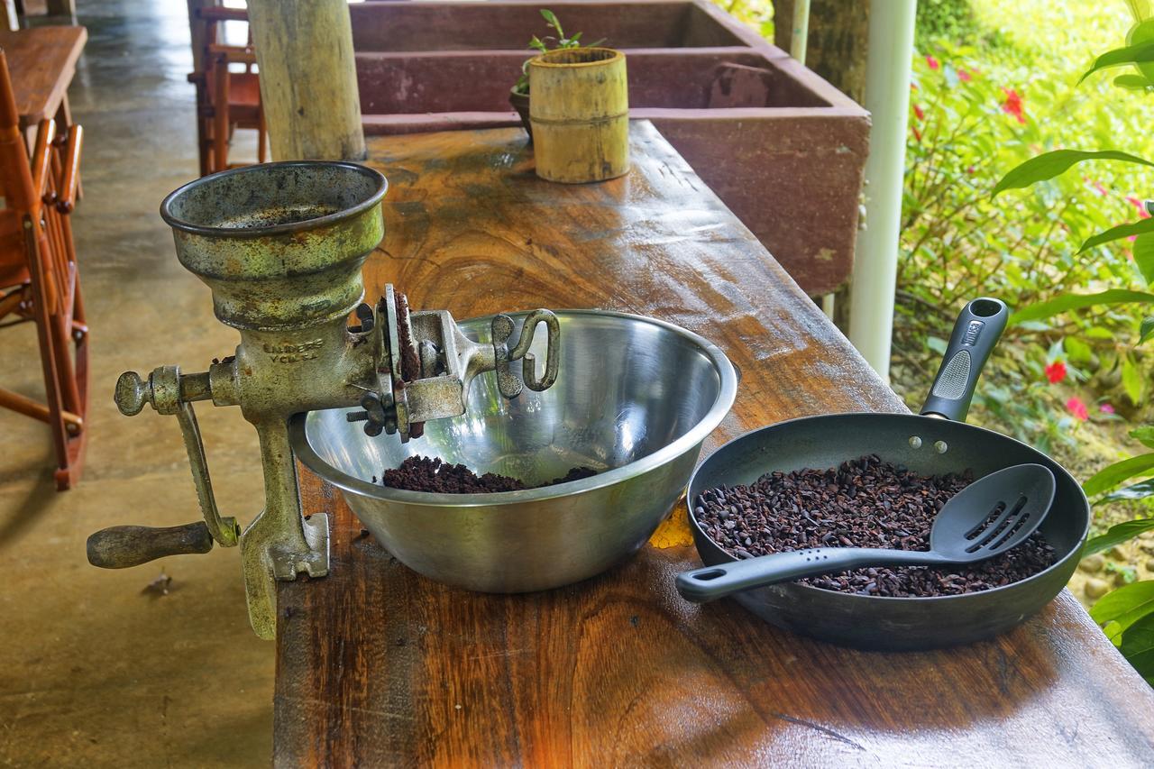 Finca Amistad Cacao Lodge Bijagua Eksteriør bilde