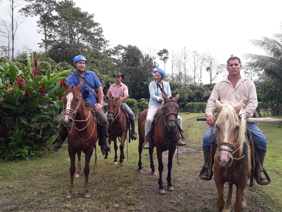 Finca Amistad Cacao Lodge Bijagua Eksteriør bilde