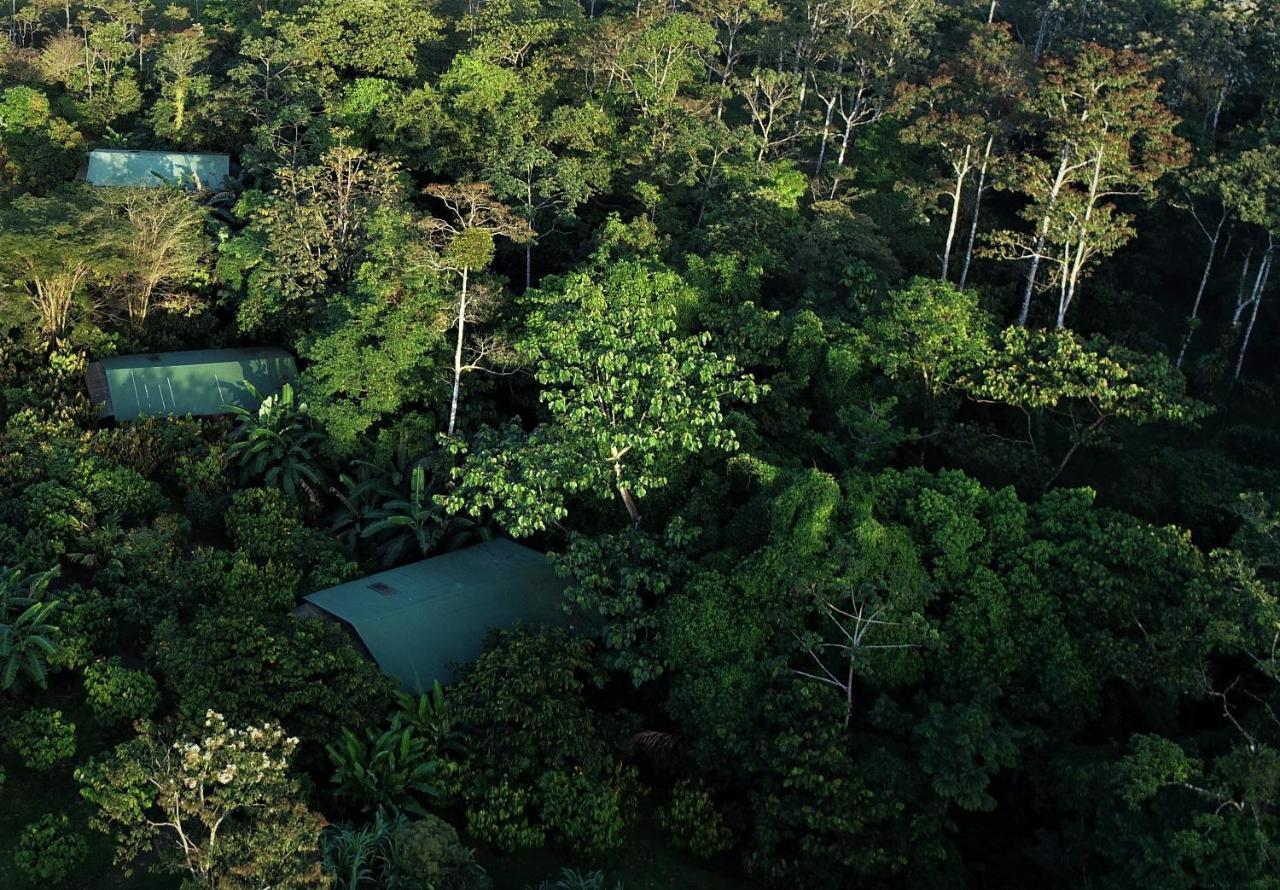 Finca Amistad Cacao Lodge Bijagua Eksteriør bilde