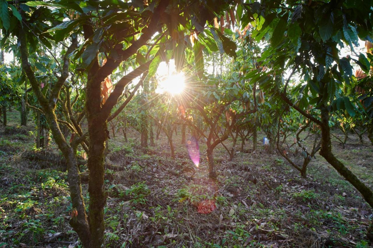 Finca Amistad Cacao Lodge Bijagua Eksteriør bilde